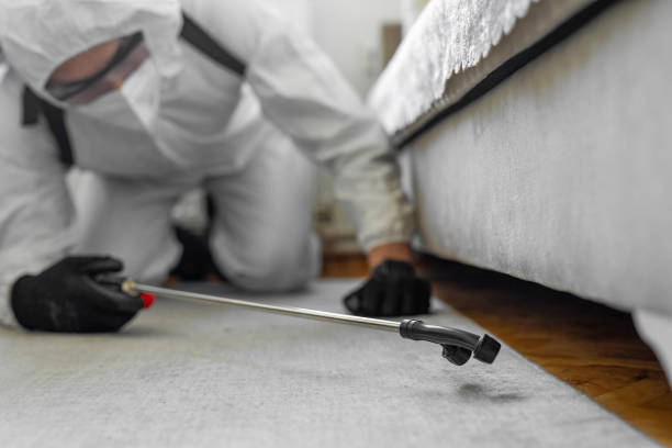 Professional Ant Control technician working in Poplar Plains, CT