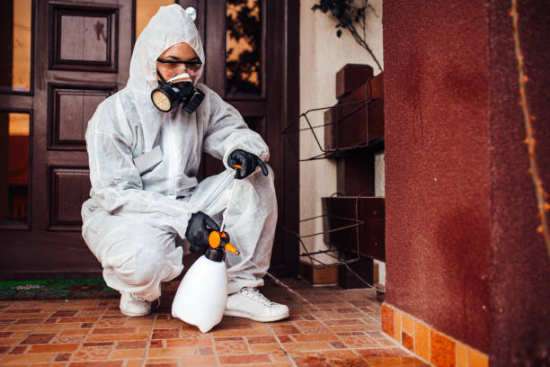 Reliable Mosquito Control contractor in Poplar Plains, CT by Show Me Pest Control